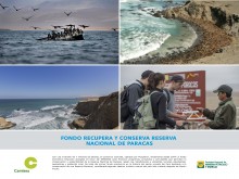 Fondo recupera y conserva Reserva Nacional de Paracas