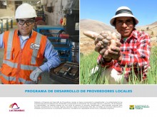 Programa de Desarrollo de Proveedores Locales (DEL)